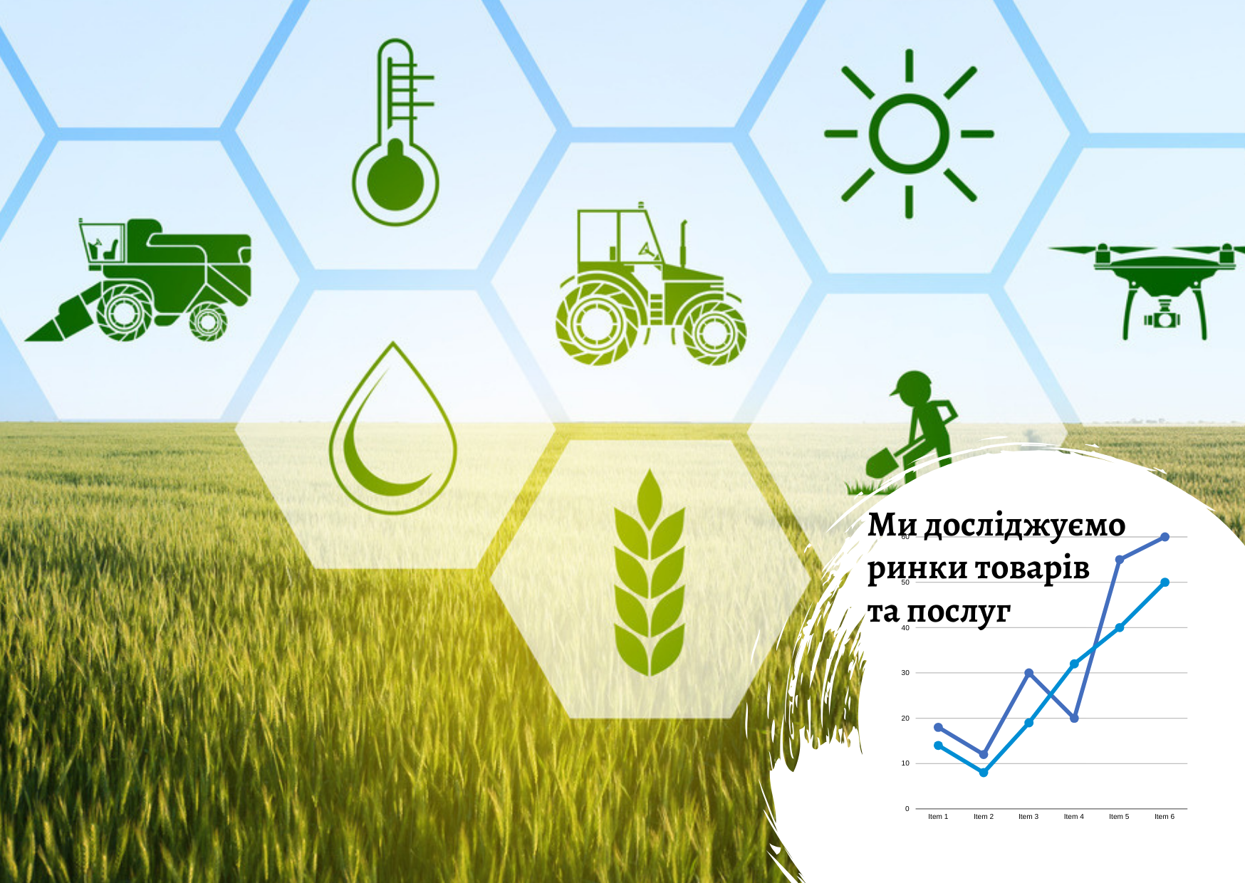 Ukrainian agricultural marketplace market: recommendations for new players